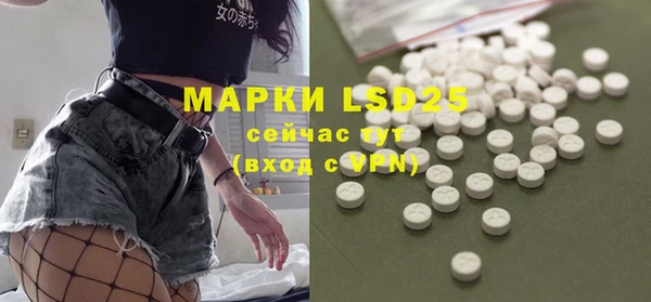 прущие грибы Армянск