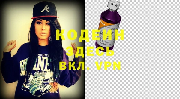 индика Аркадак