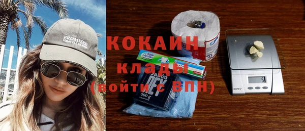 индика Аркадак