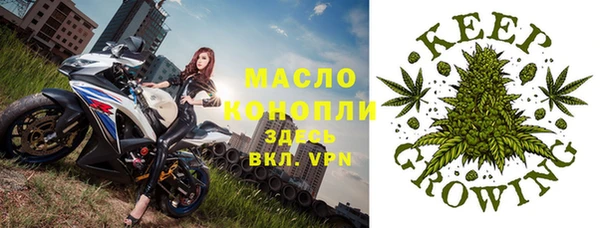прущие грибы Армянск