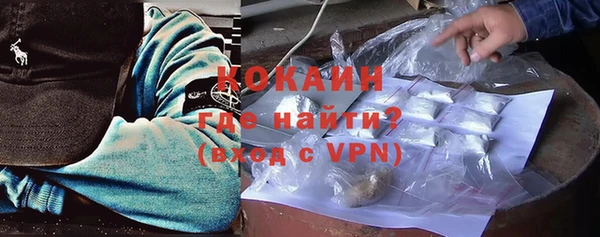 индика Аркадак