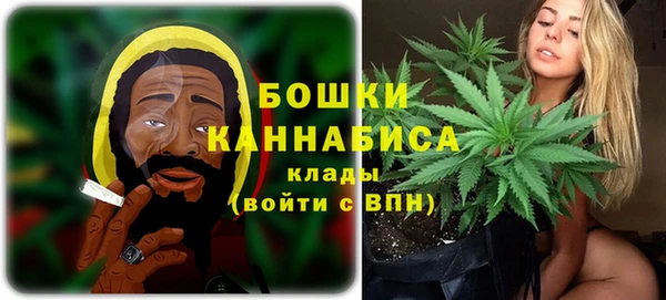 индика Аркадак