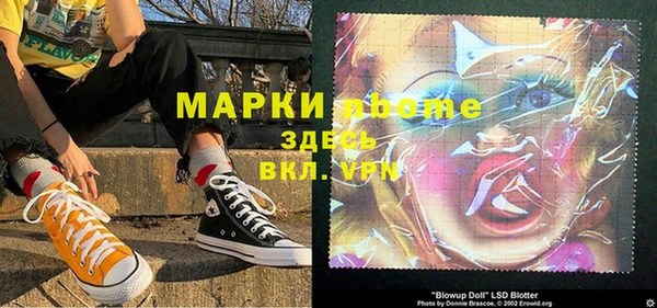 прущие грибы Армянск