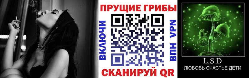 Псилоцибиновые грибы MAGIC MUSHROOMS  где найти наркотики  Мышкин 